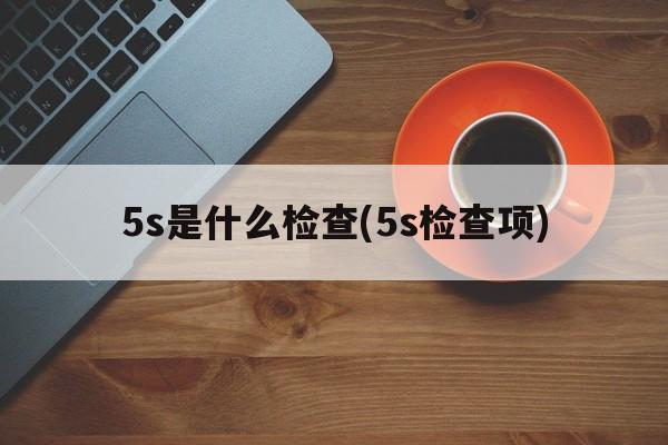 5s是什么检查(5s检查项)